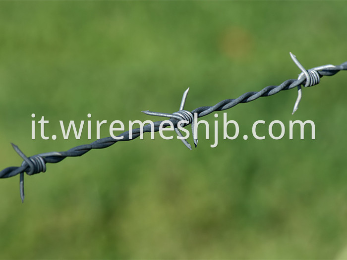 Barbed Wire Line